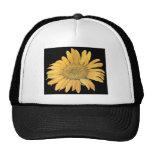 A sunflower in a yellow and black trucker hat.