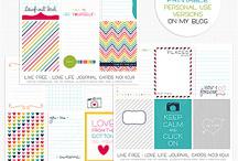 The back to school journal cards are full of different designs.